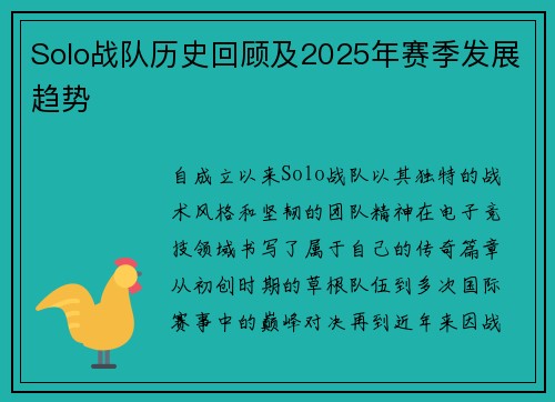 Solo战队历史回顾及2025年赛季发展趋势